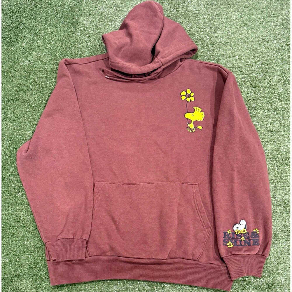 Peanuts Snoopy Woodstock Graphic Fleece Pullover Hoodie Brown Men’s L Pockets